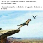 Loving the test from the mobile